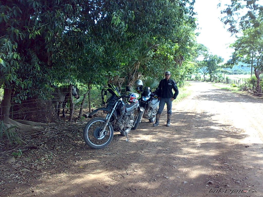 Photo 1809163