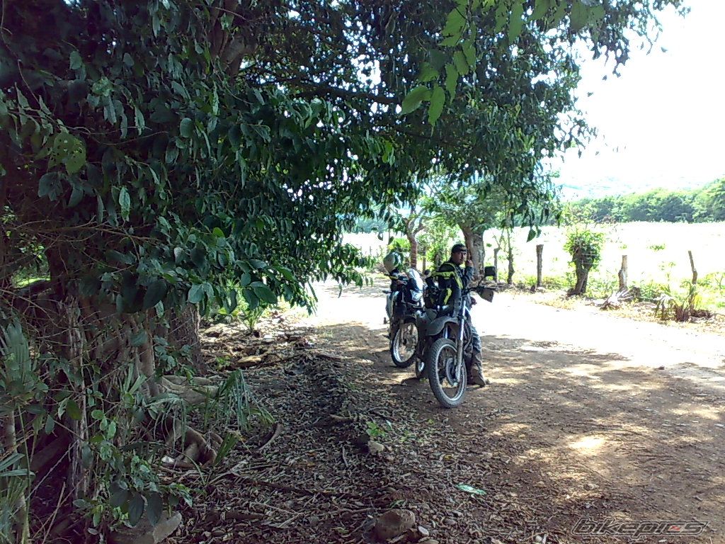 Photo 1809164