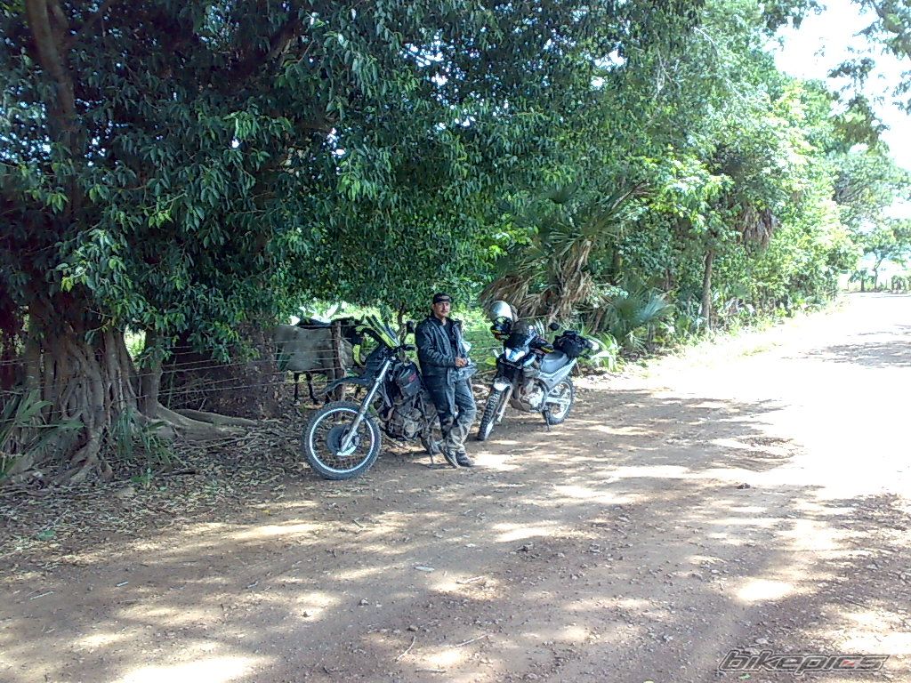 Photo 1809165