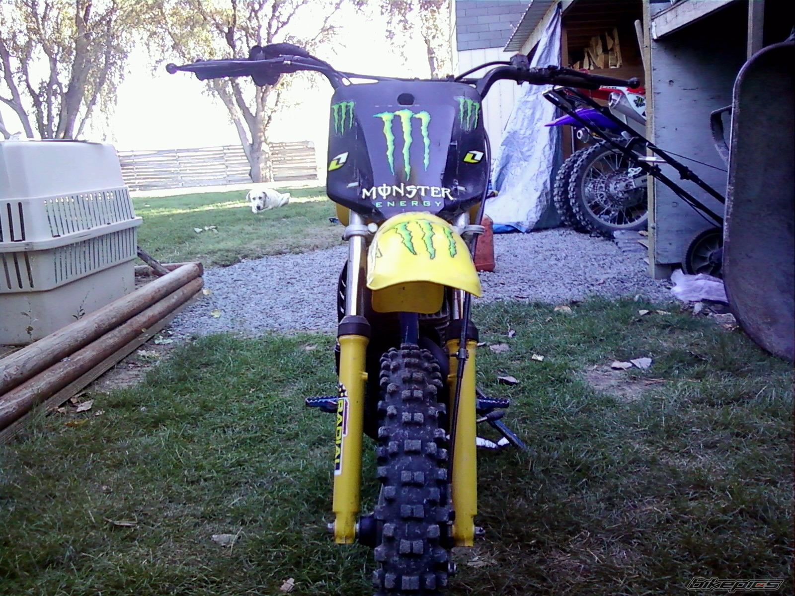 Bike Photo 1809191