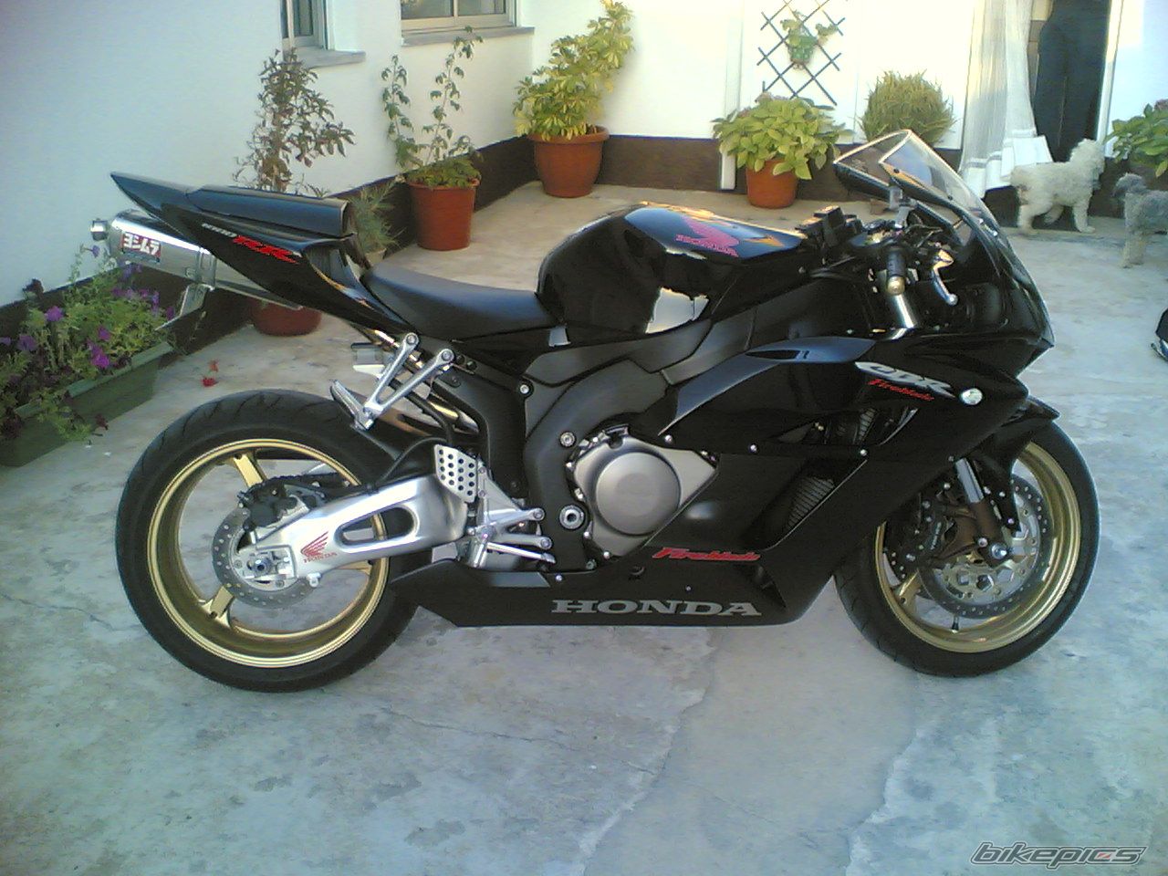 Bike Photo 1810624