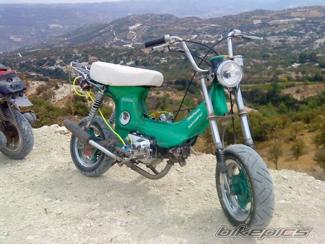 Photo 1810663