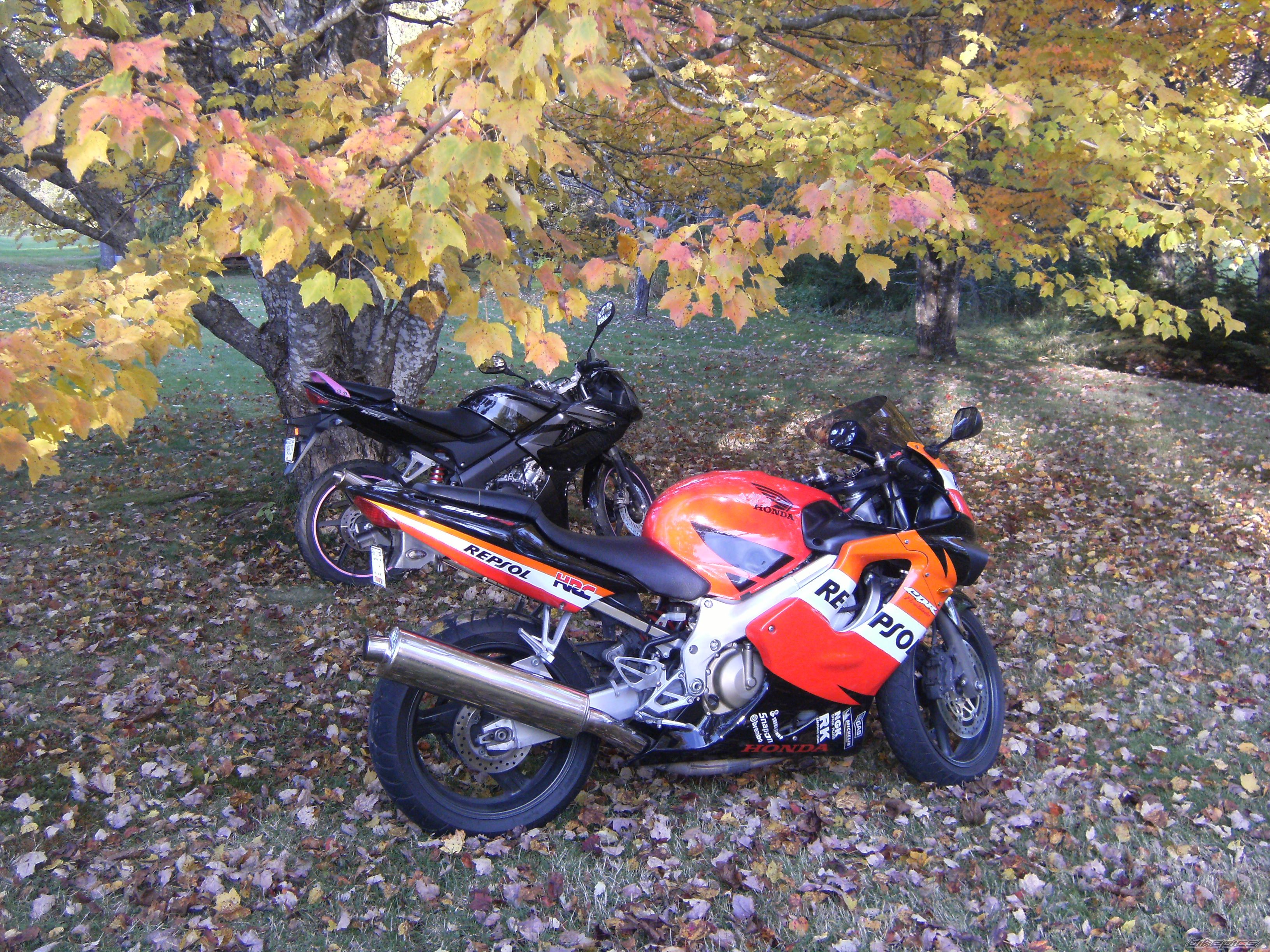 Bike Photo 1810763