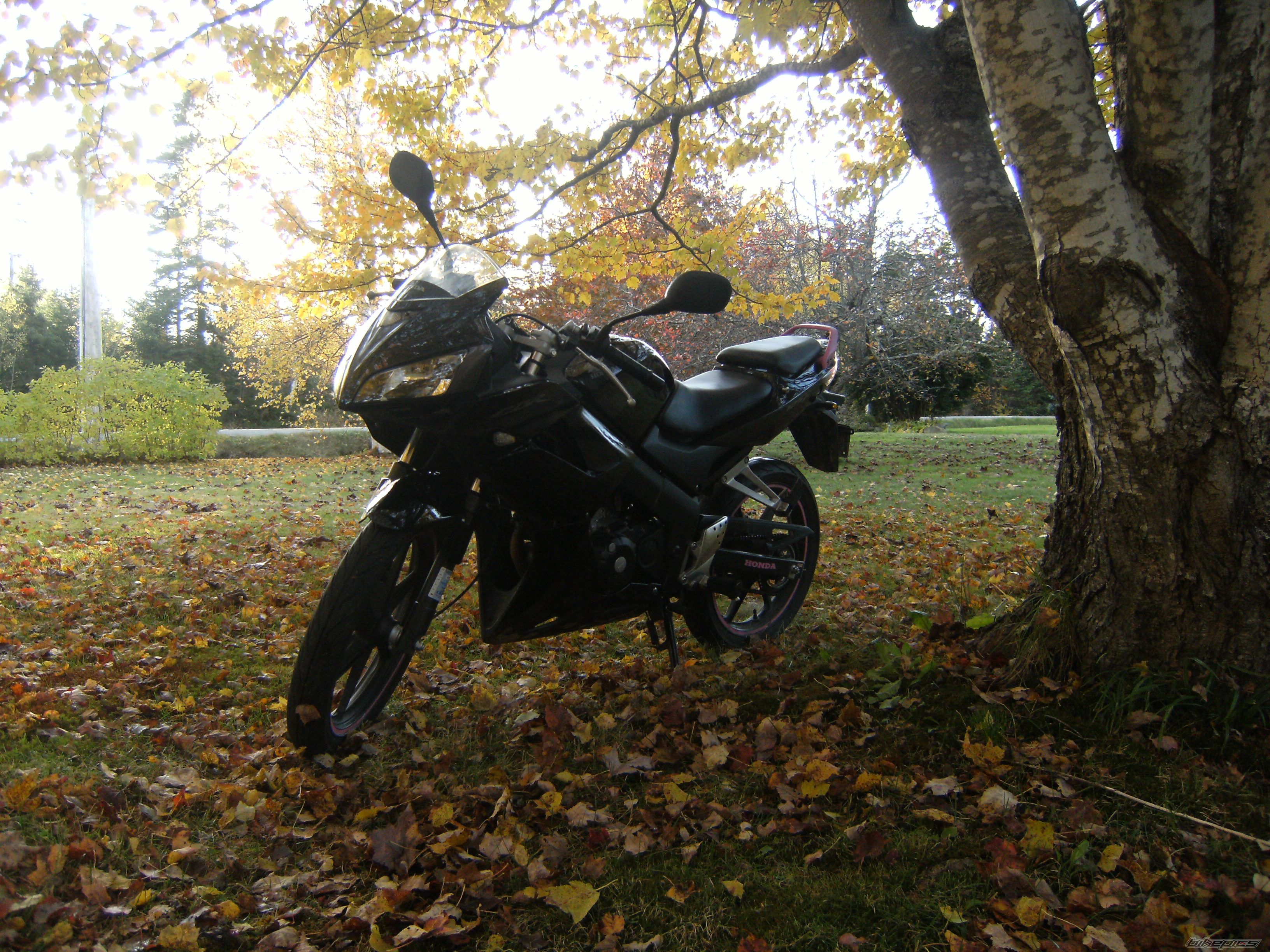 Bike Photo 1810764