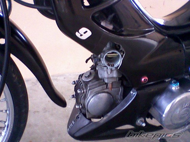 Photo 1811841