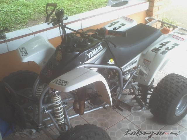 Photo 1811893