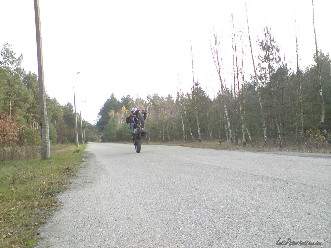 Photo 1811958