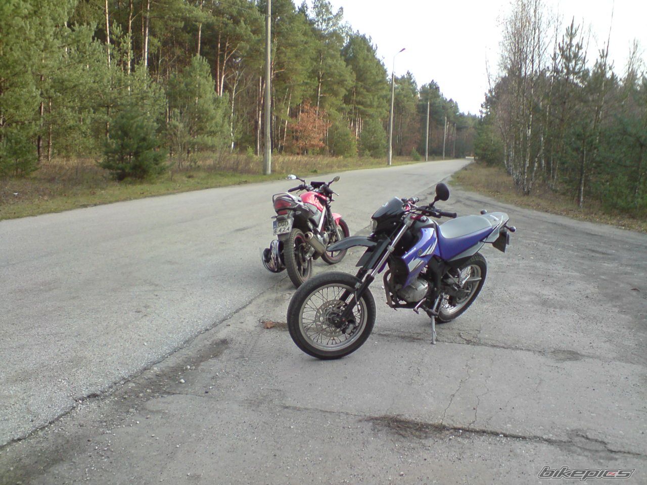 Photo 1811961