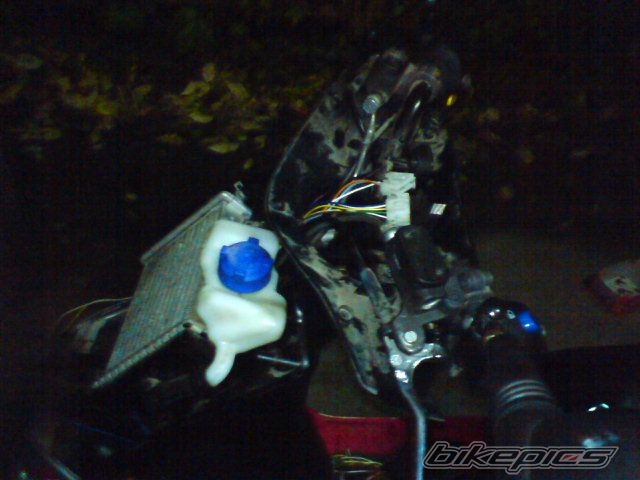 Bike Photo 1812266