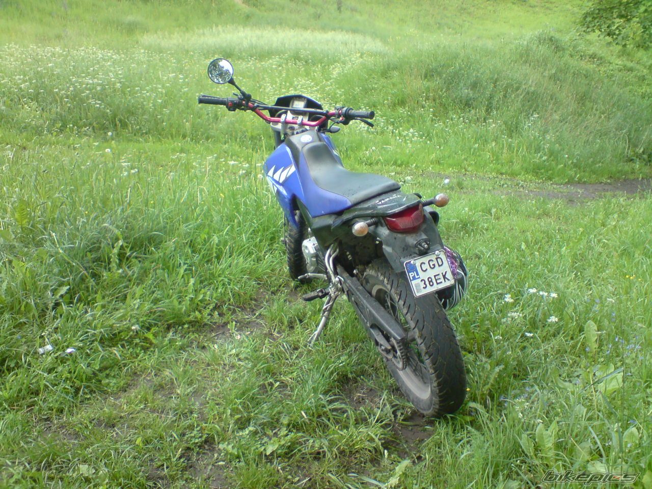 Photo 1812386