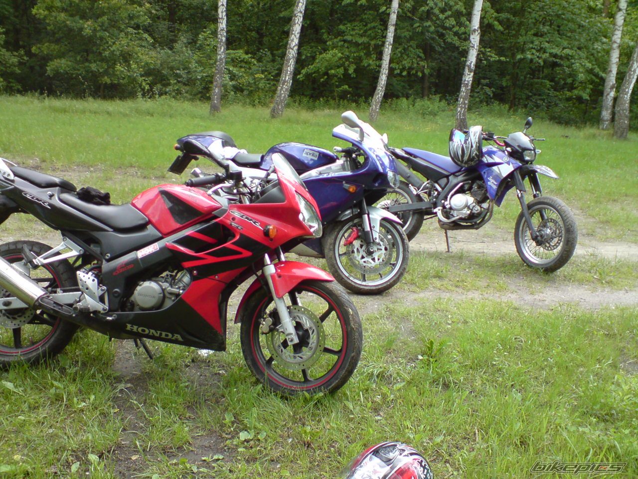 Photo 1812391