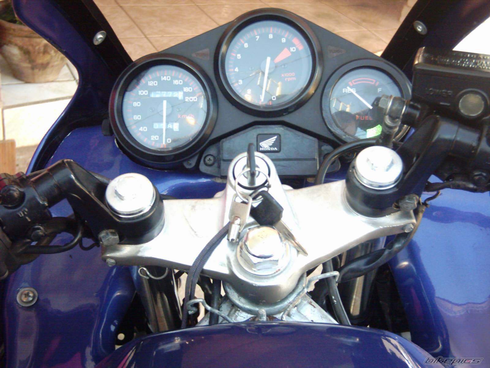 Photo 181249