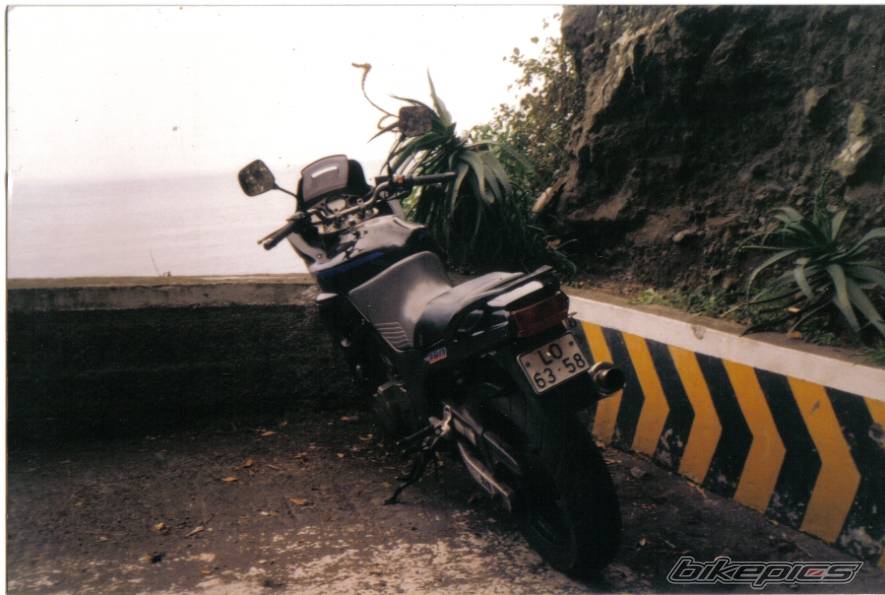 Photo 181279