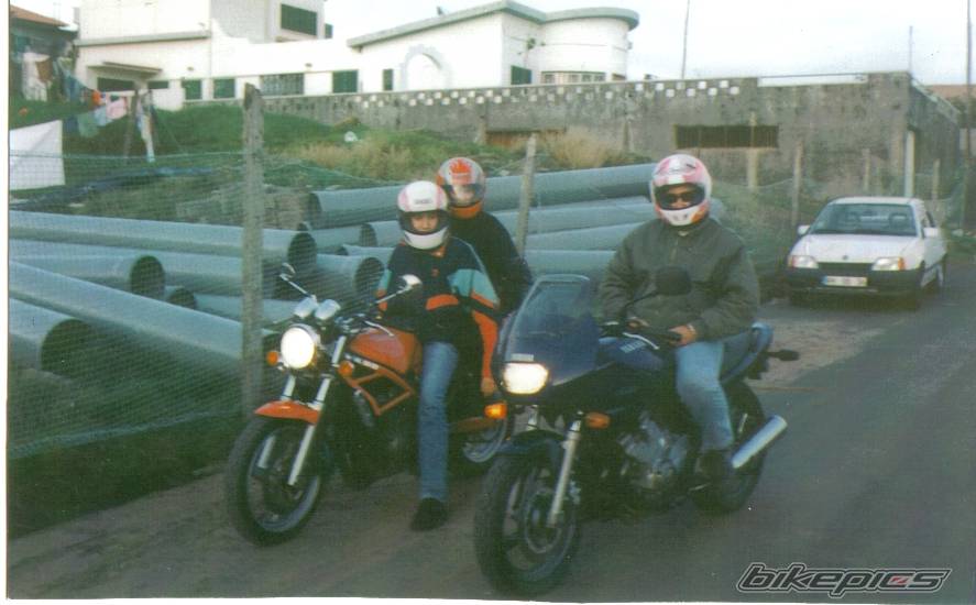 Photo 181289