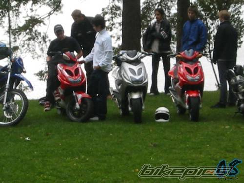 Photo 181294