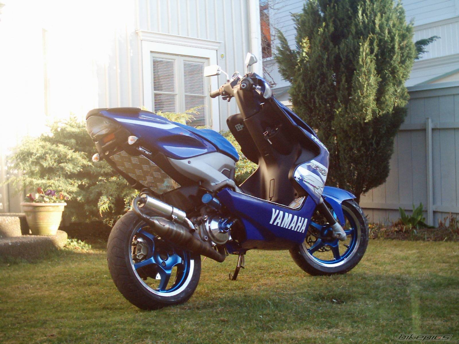Photo 181295