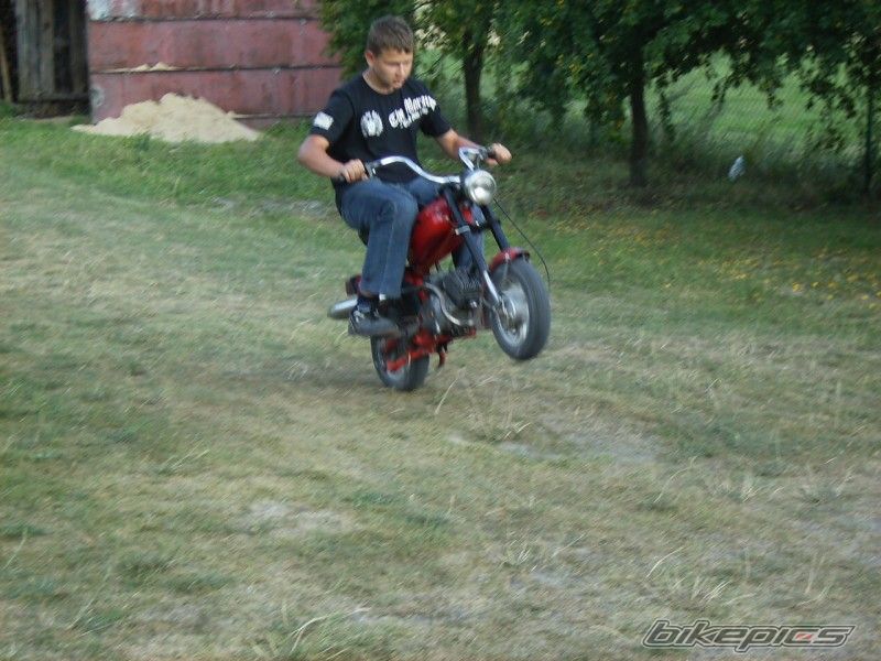 Photo 1813221
