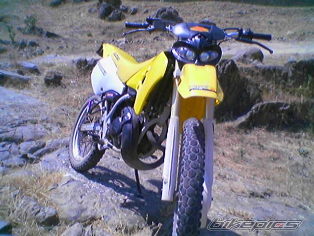 Photo 181328