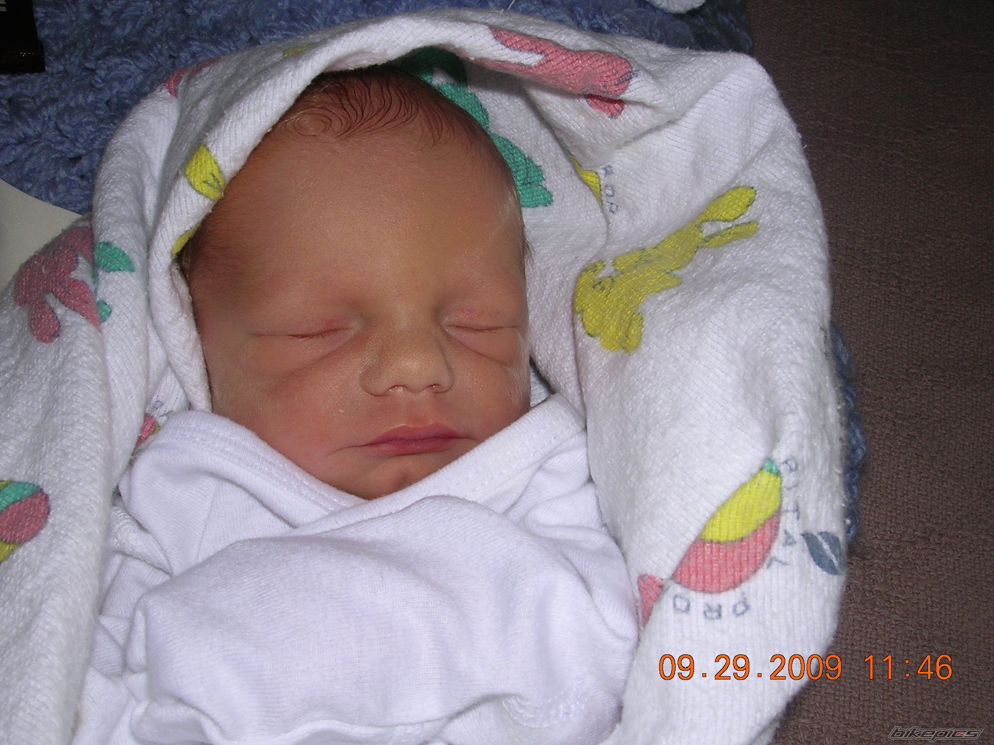 Photo 1813347