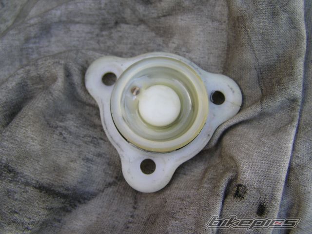 Photo 1813370