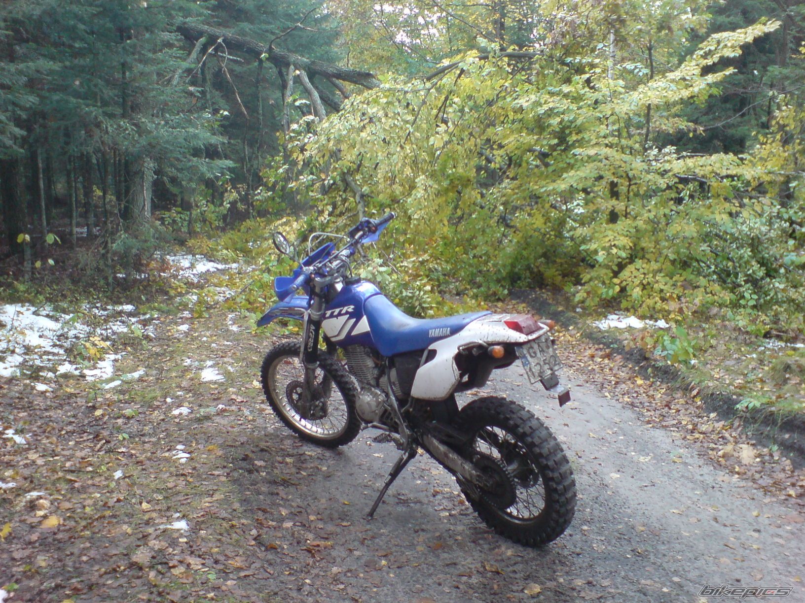 Bike Photo 1813671