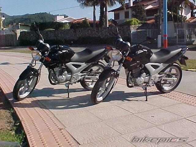 Photo 181375