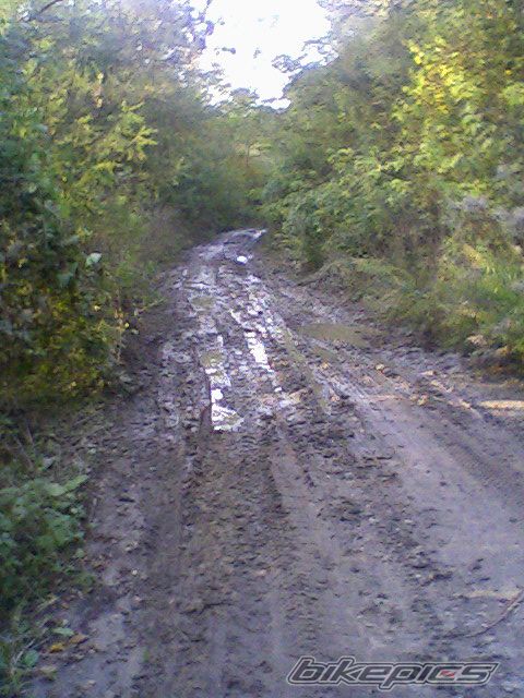 Bike Photo 1813922