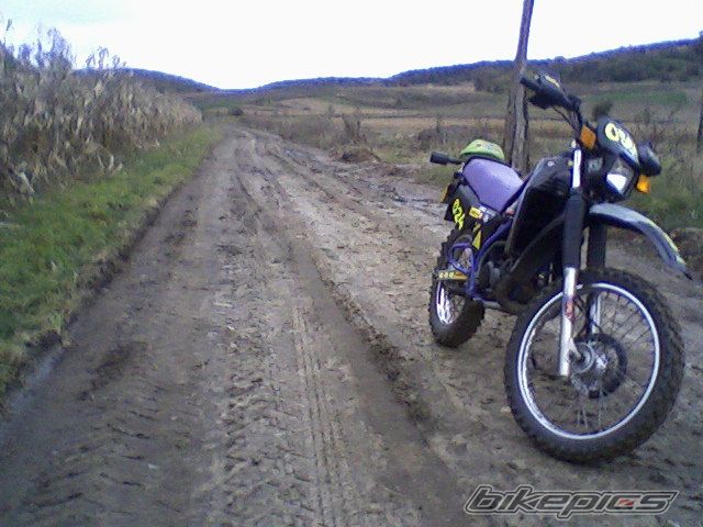 Bike Photo 1813924