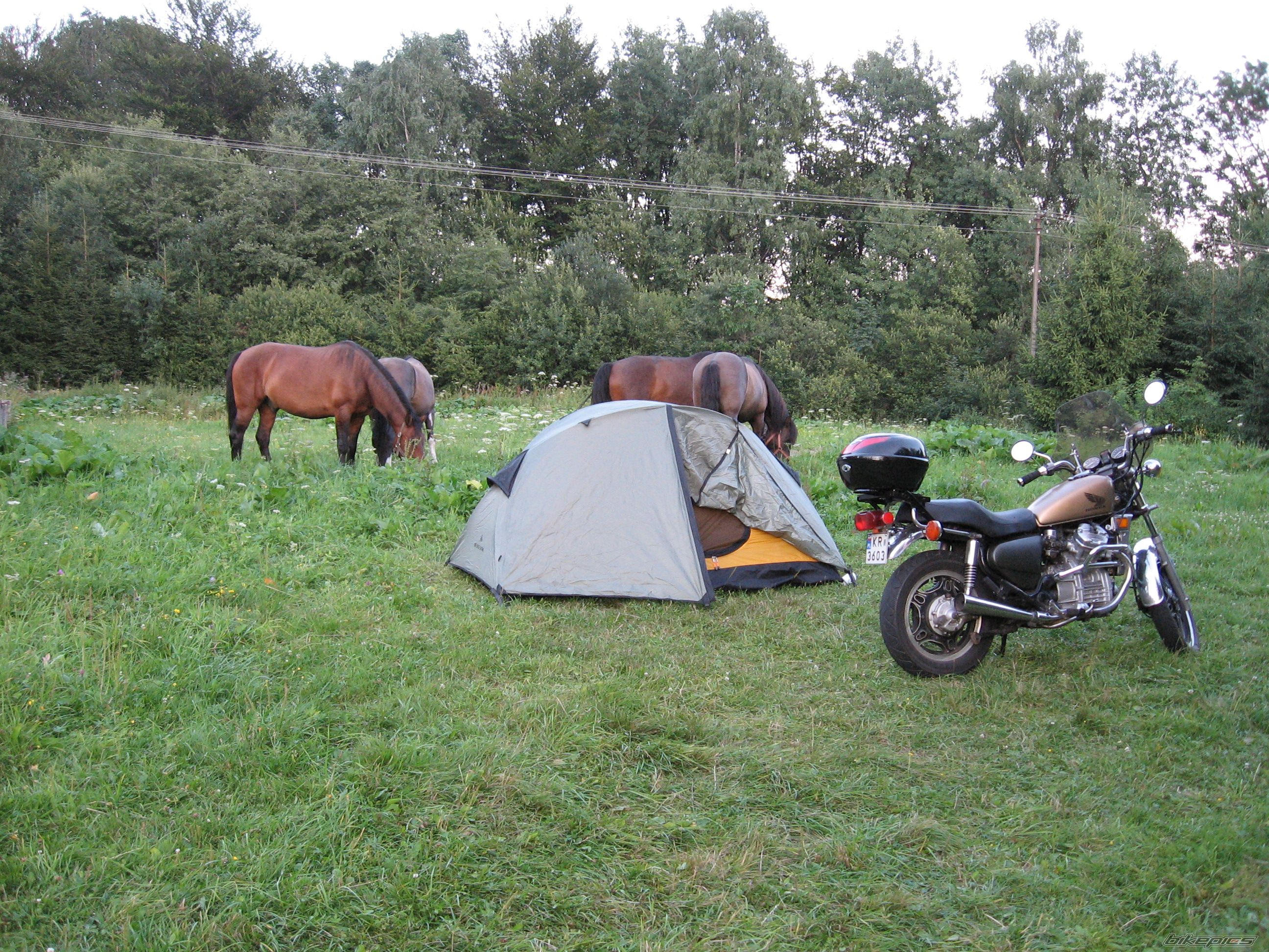 Photo 1814182