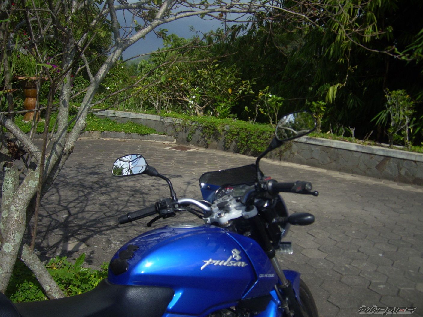 Bike Photo 1814282