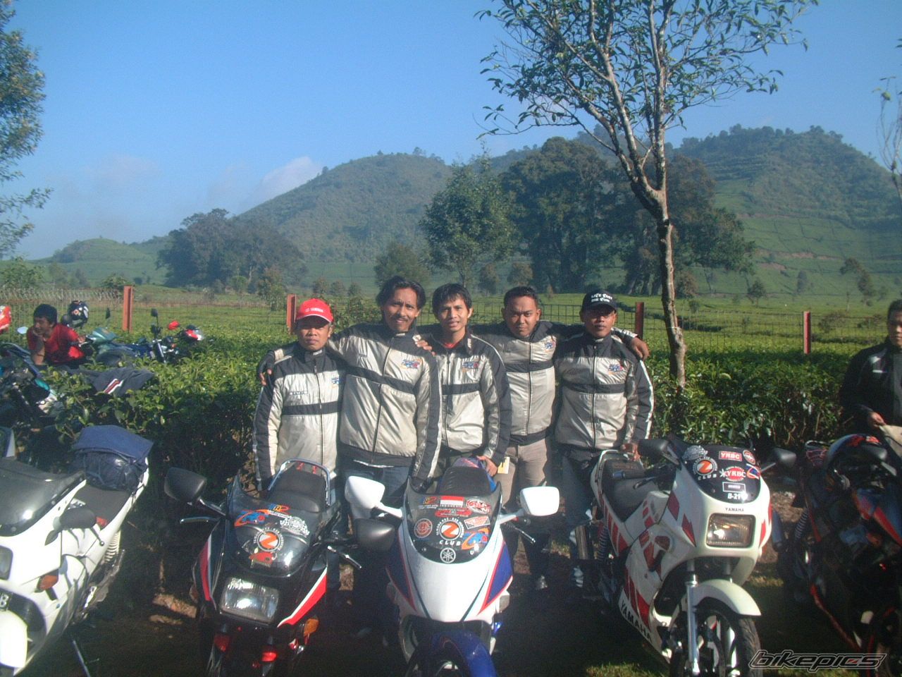 Photo 1814349
