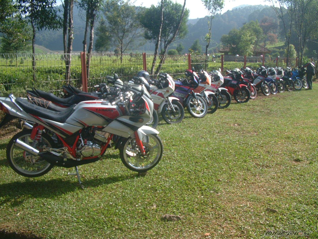 Photo 1814361
