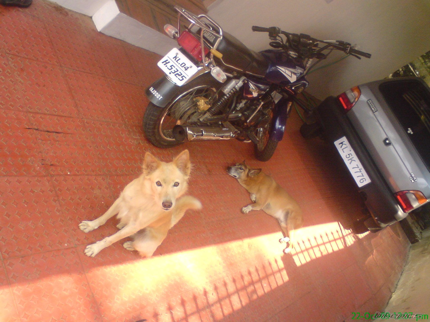 Photo 1814392