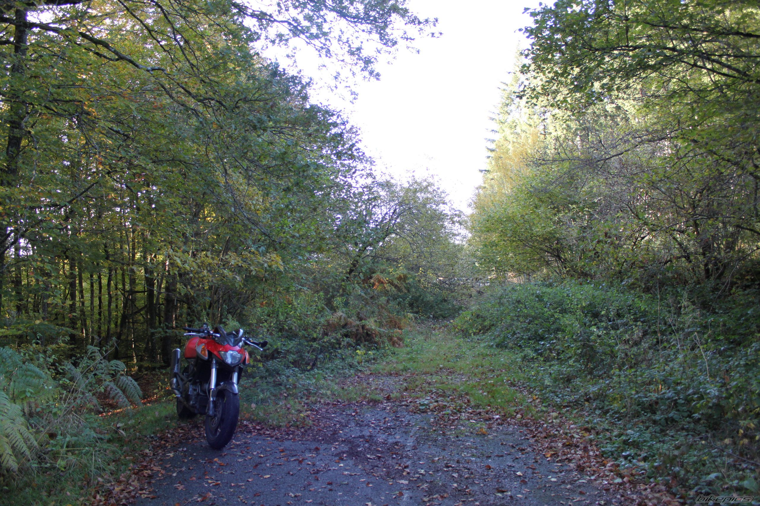 Photo 1814452