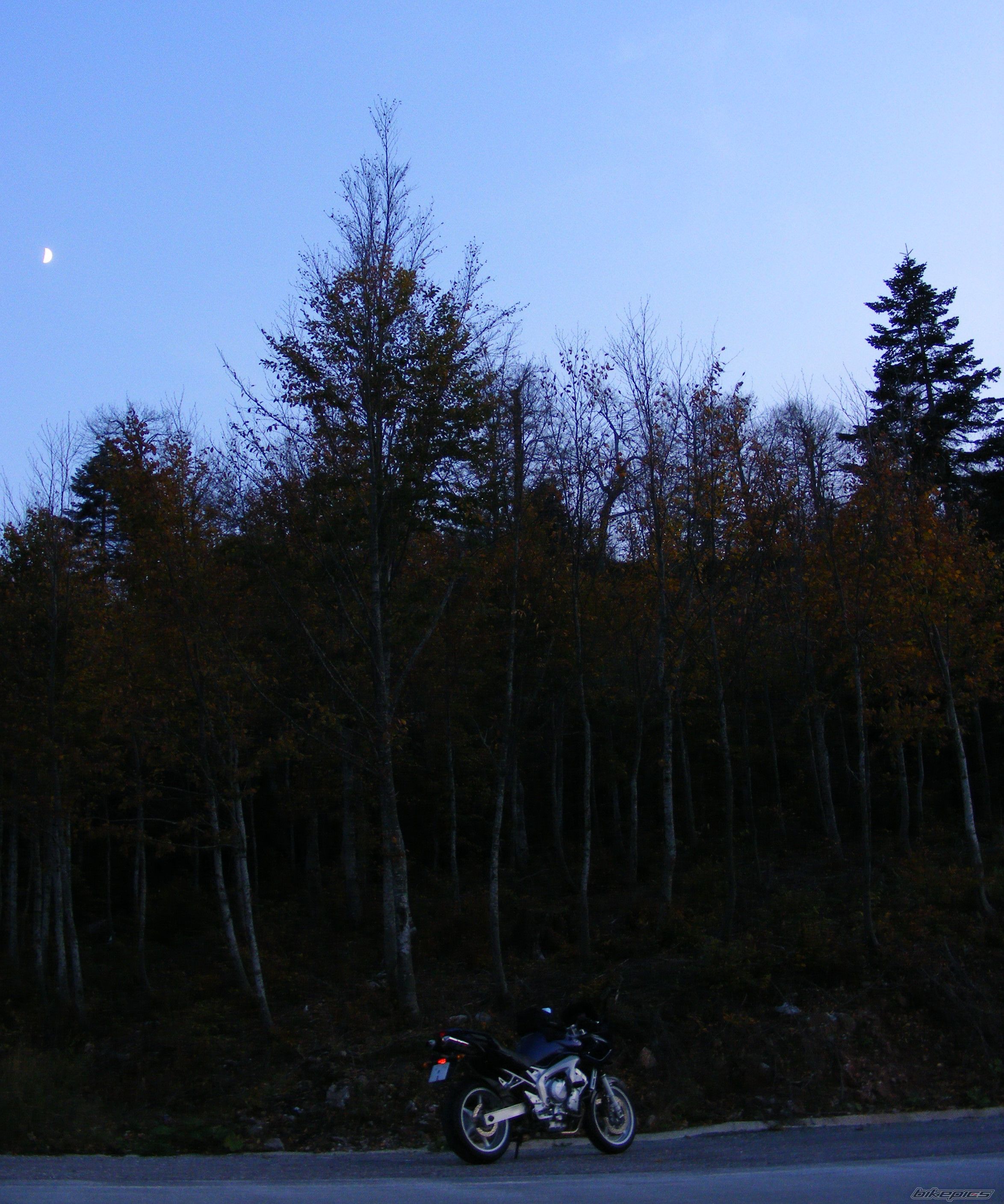 Photo 1814548