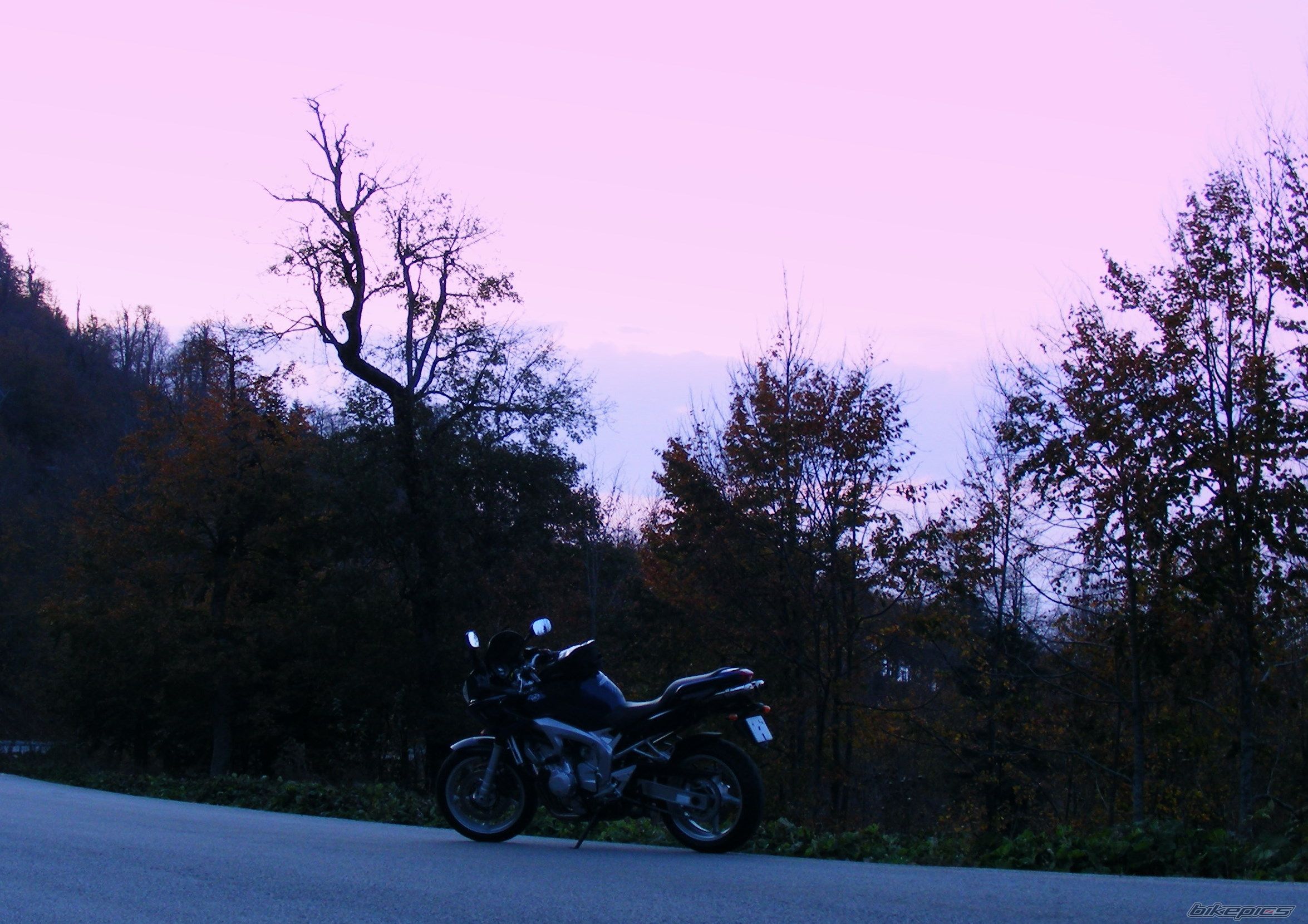 Photo 1814549