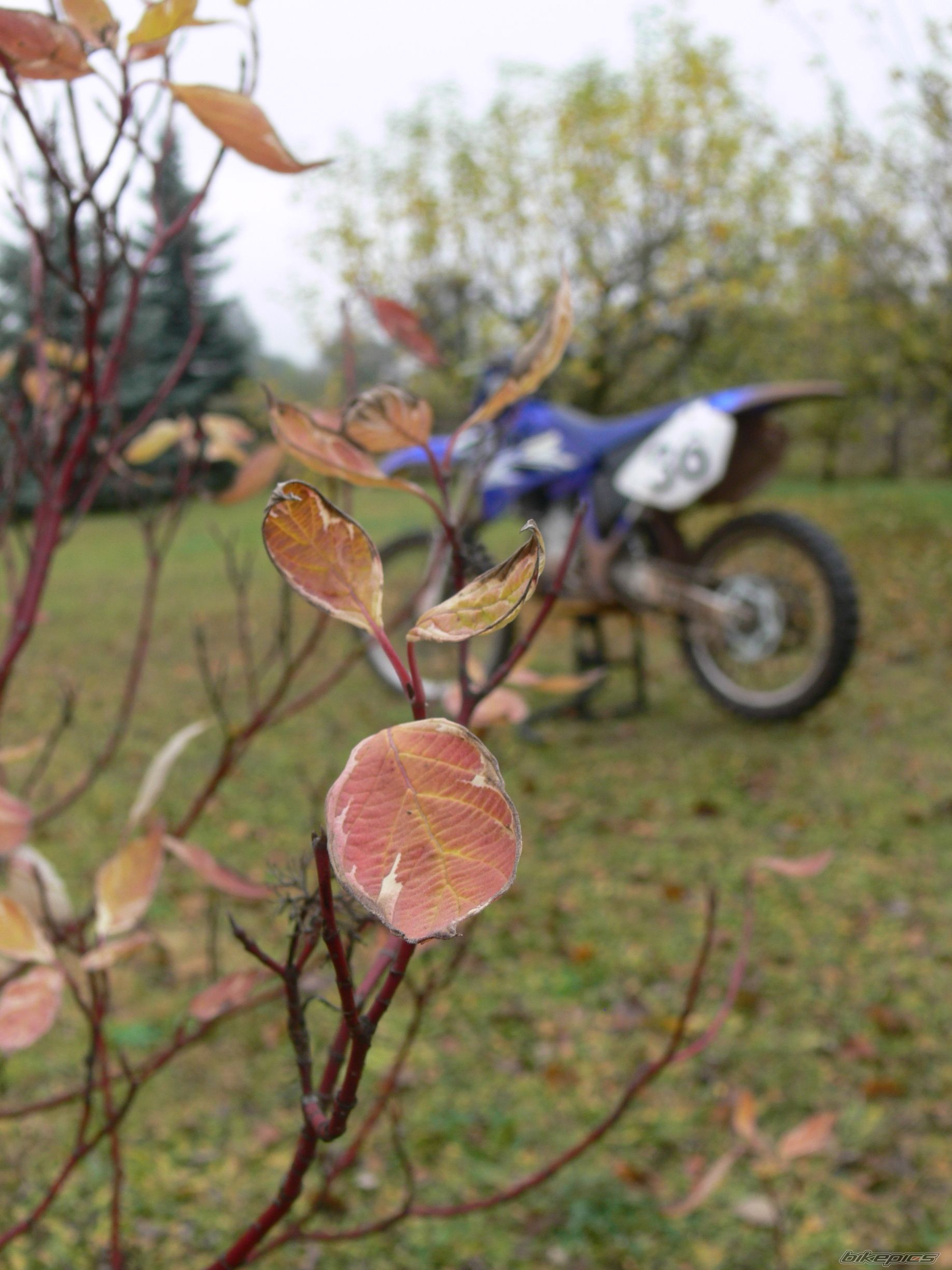Photo 1814667