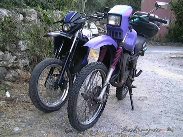 Photo 181489