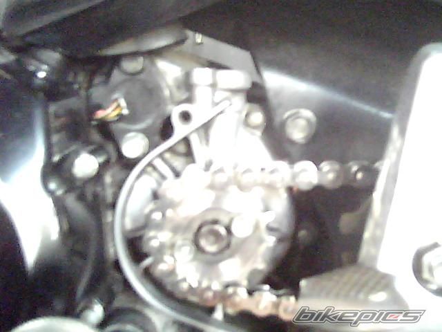 Photo 1815130
