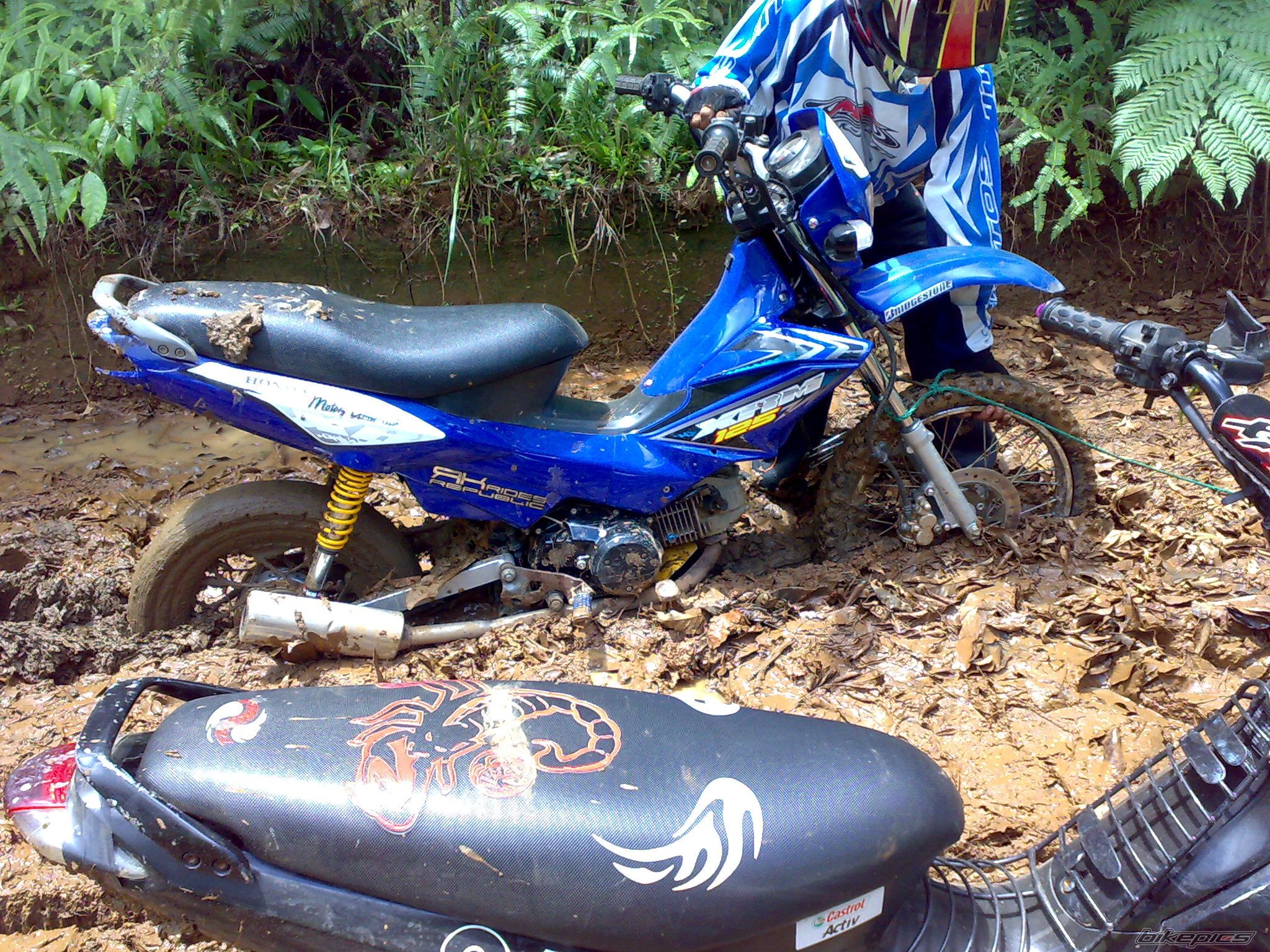 Photo 1815238