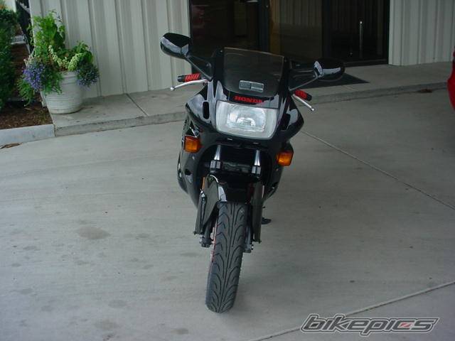 Photo 181526