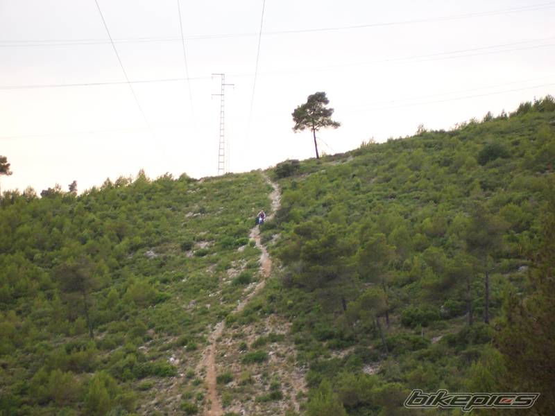 Photo 181529