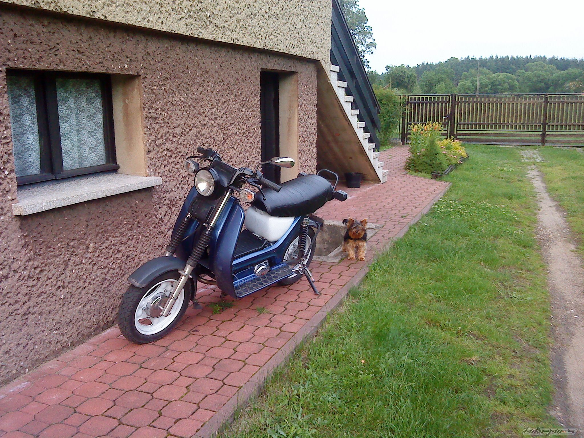 Photo 1815337