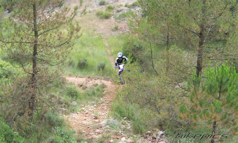 Photo 181534
