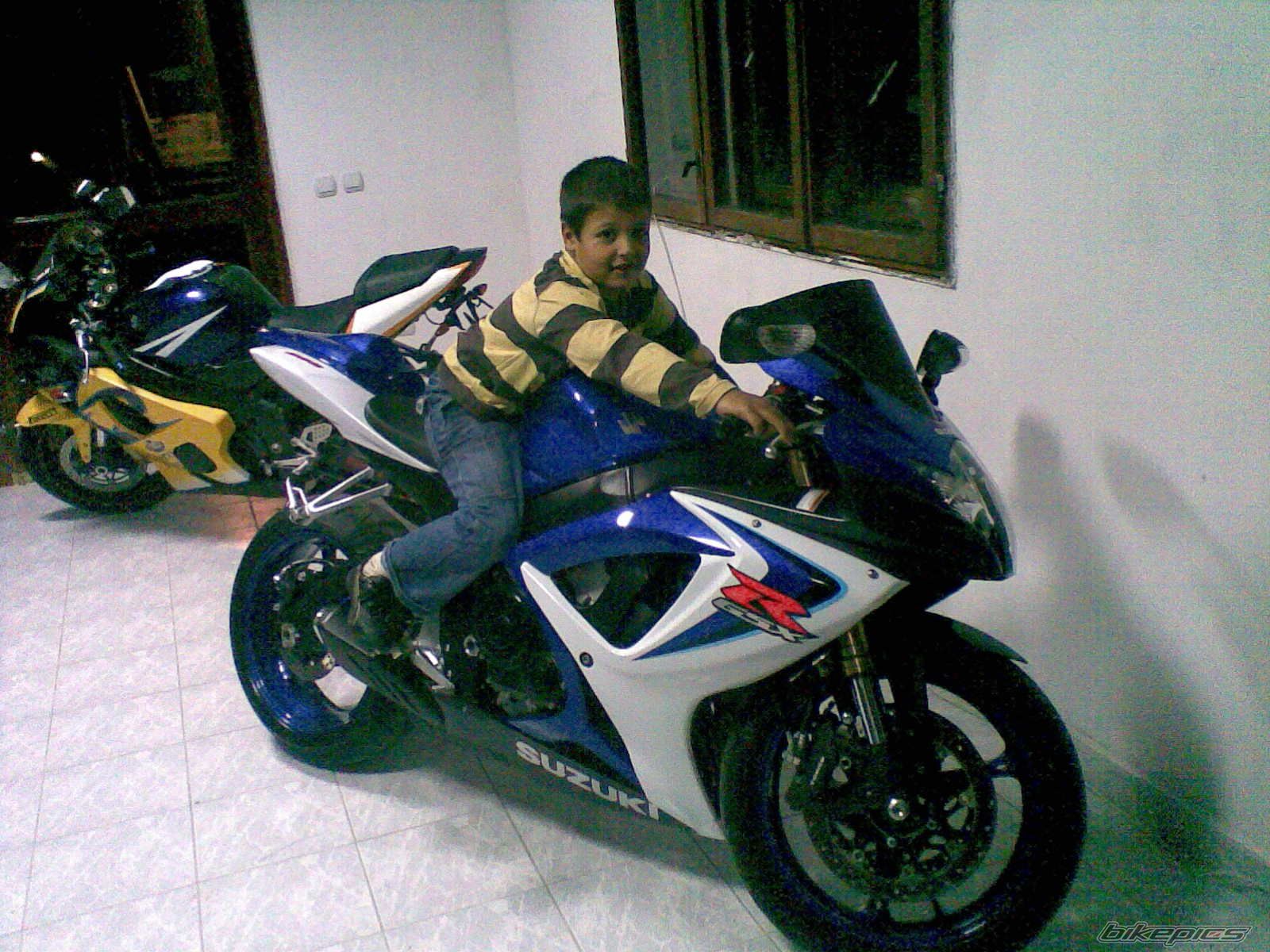 Photo 1815392