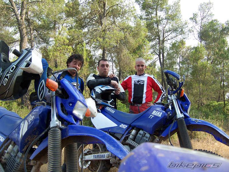 Bike Photo 181545