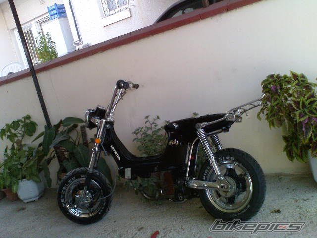 Photo 1815467