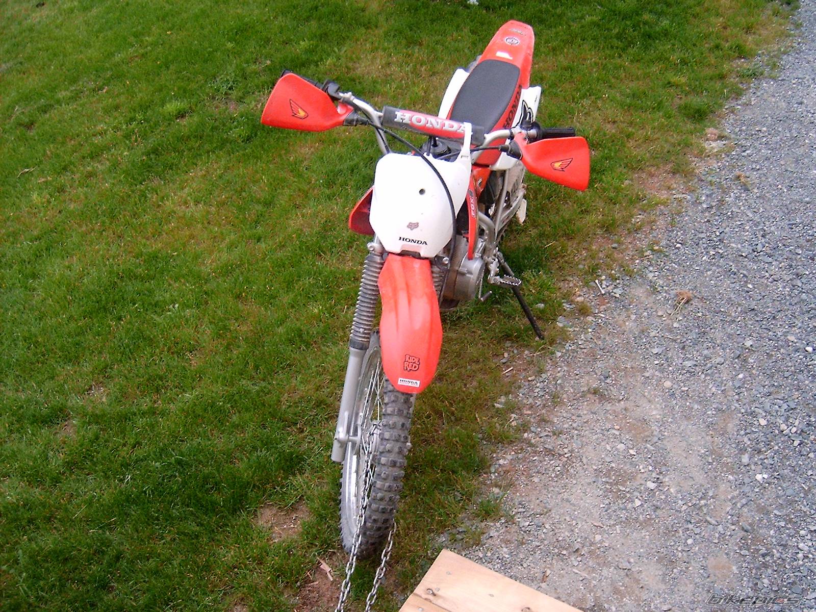 Photo 181554