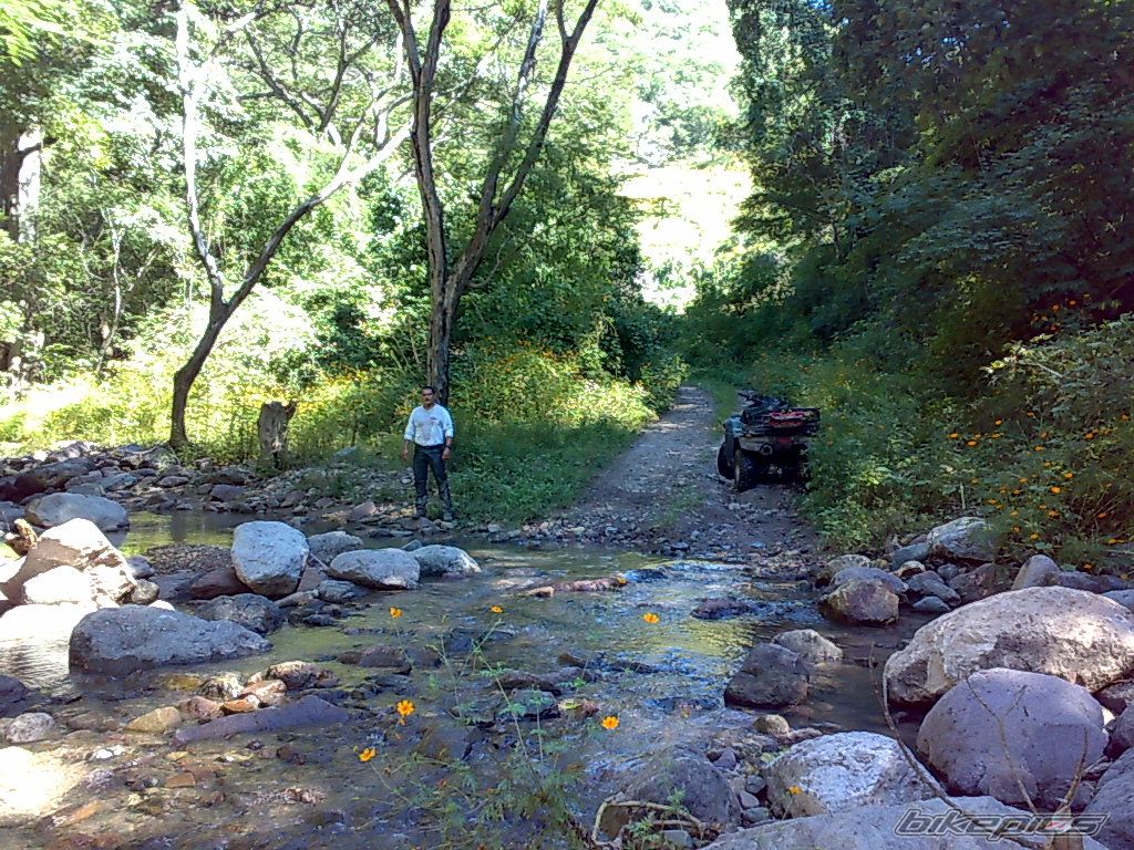 Photo 1815766