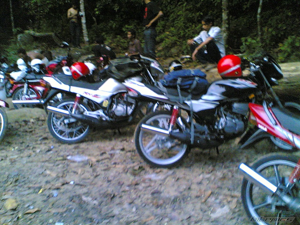 Photo 1815933